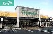 ハピッシュ国府市場店 1553m