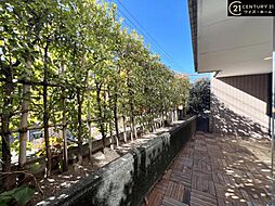 バルコニーの画像