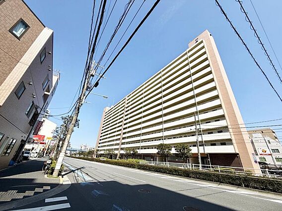 【外観】　白基...