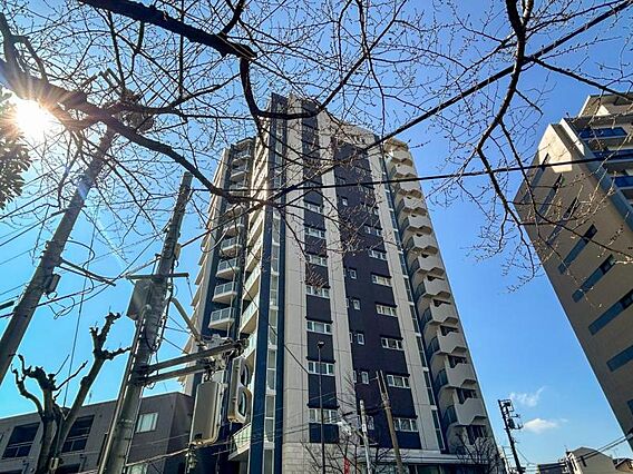 【外観】　段層...
