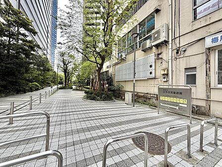 【周辺】落ち着いた住宅街が広がる、静かで住みやすいエリアです。