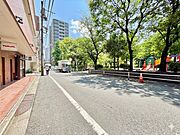 【前面道路】　幅員にゆとりある前面道路。視界が広がり、確かな開放感があります。