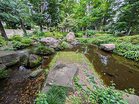 【公園】 敷地内に鯉が放たれ、自然の息遣いを感じられる環境です