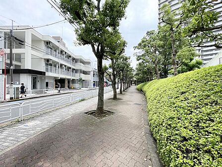 【周辺】緑豊かな街並みが魅力です。