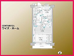 パレステージ西新井みどり公園 2DKの間取図画像