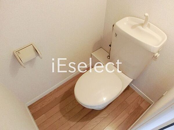 画像8:シンプルなトイレです。