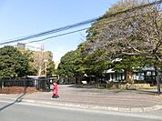淑徳大学 1790m