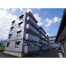 HMマーブル5