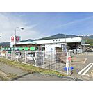 ホームセンター「コメリハード＆グリーン飯島店まで4914ｍ」