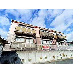 サープラス横田