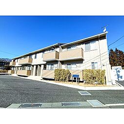 シャルール月の木