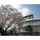 小学校「飯田市立浜井場小学校まで412ｍ」