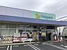 周辺：ウェルパーク 西東京新町店（700m）