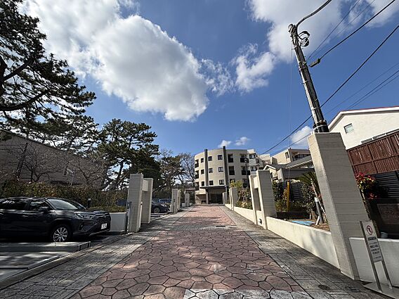 道路の写真