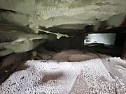 中古住宅の3大リスクである、雨漏り、主要構造部分の欠陥や腐食、給排水管の漏水や故障を2年間保証します。その前提で床下まで確認の上でリフォームし、シロアリの被害調査と防除工事もおこないます。