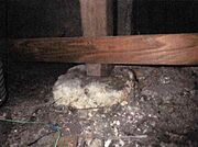 中古住宅の3大リスクである、雨漏り、主要構造部分の欠陥や腐食、給排水管の漏水や故障を2年間保証します。その前提で床下まで確認の上でリフォームし、シロアリの被害調査と防除工事もおこないます。