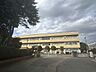 周辺：杉並小学校まで1000ｍ（徒歩13分）。お友達と会話を楽しみながら登下校ができますね。 850m