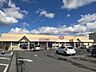 周辺：カスミFOOD　OFFストッカー石岡東店 【スーパー】カスミFOOD　OFFストッカー石岡東様まで1010ｍ（車約3分）。近くにスーパーがあるとすぐにお買い物できるので便利ですね。