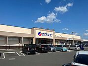 スーパーマーケット カネスエ関小瀬店まで約1.4km（お車約3分） 1400m
