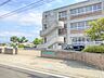 周辺：松山市立みどり小学校まで約840メートル（徒歩11分）。