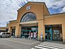 周辺：【周辺環境】フジグラン野市店まで1200m。