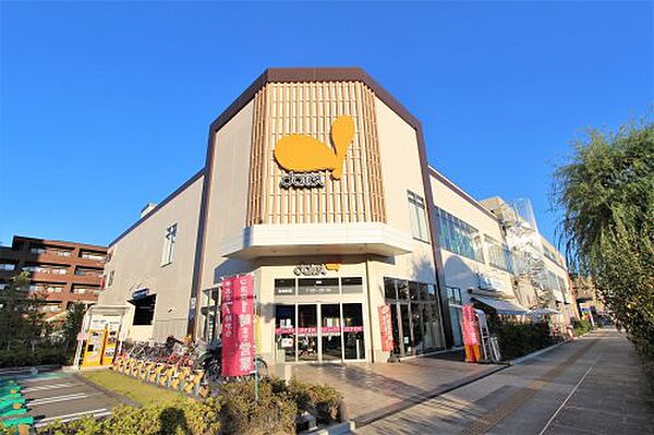 画像25:【スーパー】ダイエー浦安駅前店まで290ｍ