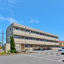 スプリングホーム