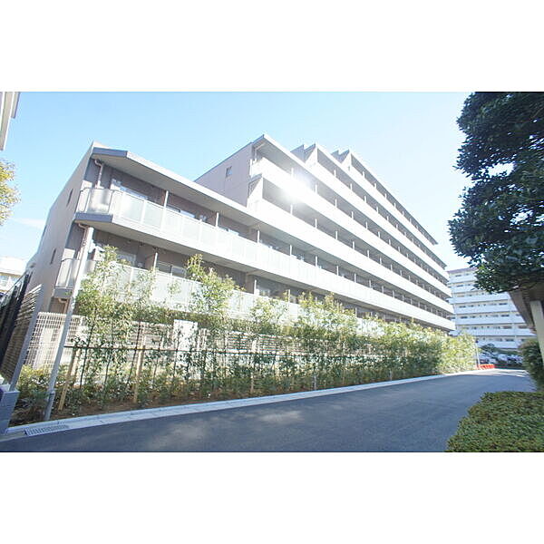 LIME RESIDENCE MINAMI GYOTOKU