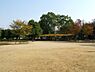 周辺：【公園】長洲公園まで551ｍ