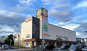 兵庫県西宮市霞町（賃貸アパート1LDK・1階・30.49㎡） その30