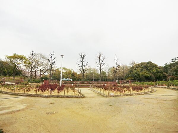 画像24:【公園】大井戸公園まで827ｍ