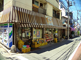 コーポ谷岸  ｜ 東京都品川区西品川2丁目（賃貸マンション1K・2階・21.00㎡） その21