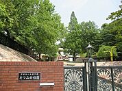 たつみ幼稚園岡崎市緑丘1丁目にある私立幼稚園です！保育時間は8:00～15:00(月～金曜日) 延長保育・休日預り保育〈有料〉あります！ 670m