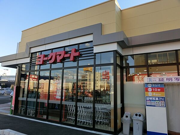 画像30:【スーパー】ヨークマート厚木インター店まで2574ｍ