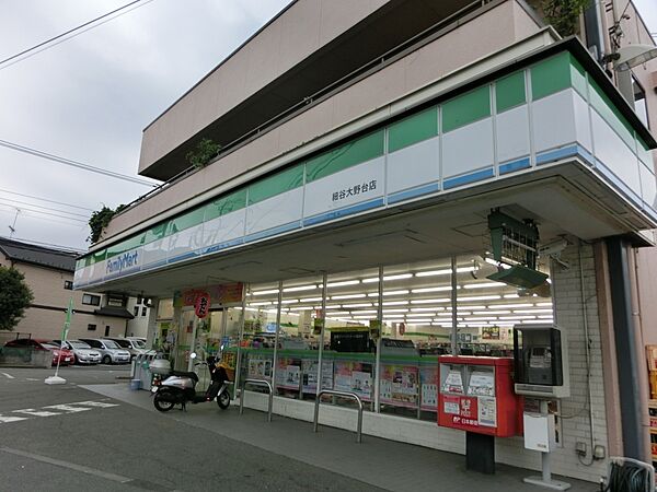 画像21:【コンビニエンスストア】ファミリーマート細谷古淵店まで191ｍ