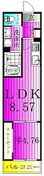 TKP北小金I 1LDKの間取図画像