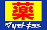 周辺：マツモトキヨシ 北小金駅店（248m）