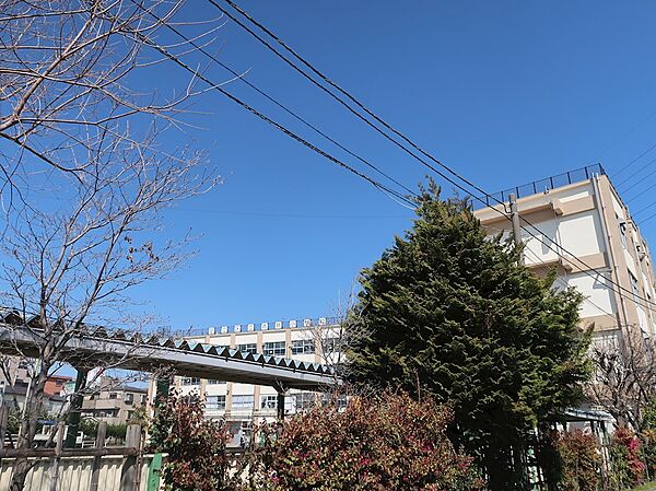 画像20:足立区立青井小学校（755m）