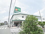 マルエツ 西新井店（493m）