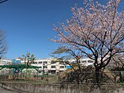 足立区立弘道小学校（782m）