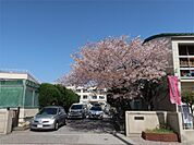 足立区立東渕江小学校（667m）