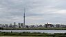 周辺：堀切水辺公園からのスカイツリーです。夜もおすすめです
