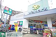 ウェルパーク向ヶ丘遊園南口店 徒歩7分。ドラックストア 520m