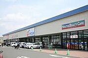 カワチ薬品 350m
