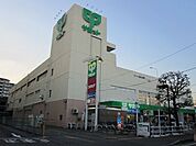 サミット 672m