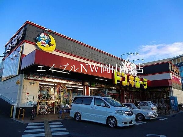 画像29:ドン・キホーテ岡山下中野店 1100m