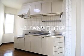 岡山県岡山市南区東畦（賃貸マンション2LDK・3階・73.90㎡） その5