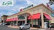 ハローズ当新田店 834m