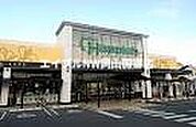 ハピッシュ国府市場店 390m