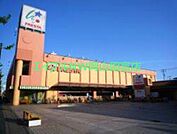 フレスタ操南店 507m